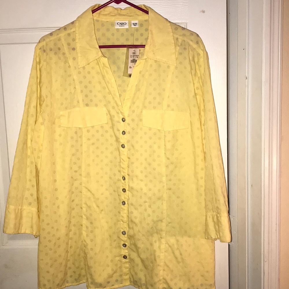 Cato Blouse